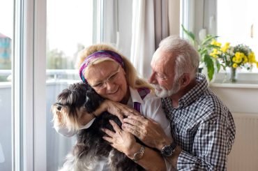 Best Dogs for Seniors AARP