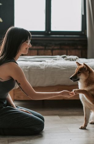 Simple Steps: How to Teach Your Dog to Shake Paws