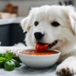 Can Dogs Have Tomato Soup