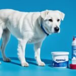 Can I Put Aquaphor On My Dog