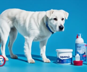 Can I Put Aquaphor On My Dog